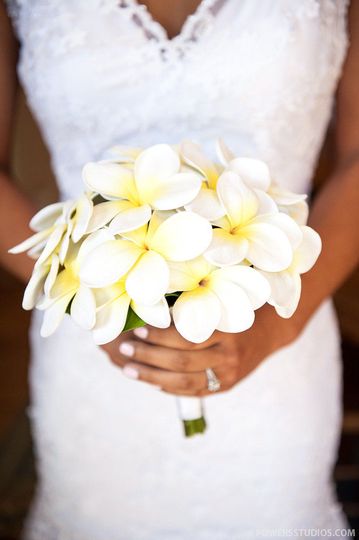 Plumeria Bouquets