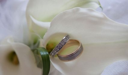 Enchanting Events of NY