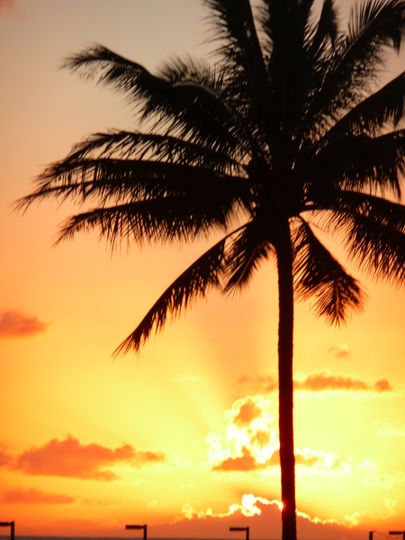 Allure Travel