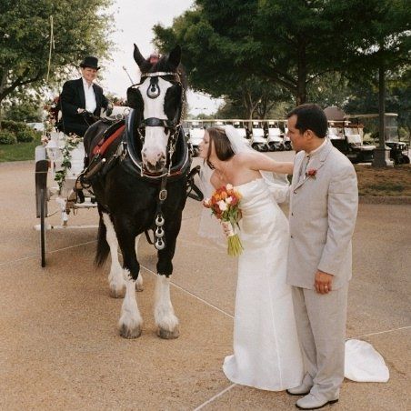 Belle Starre Carriages