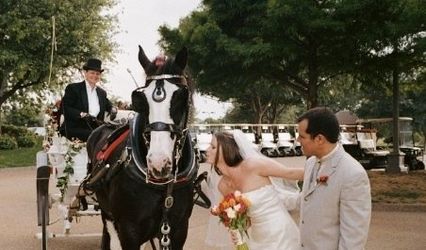 Belle Starre Carriages