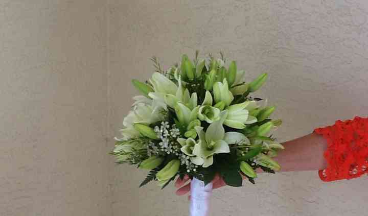 Ft Myers Express Floral Flowers Fort Myers Fl Weddingwire