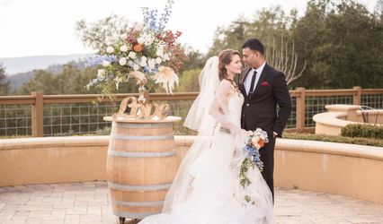 VineLily Moments