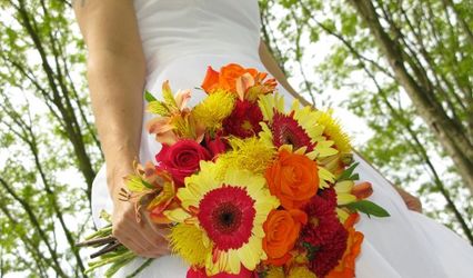 Midnight Blossom Floral Design