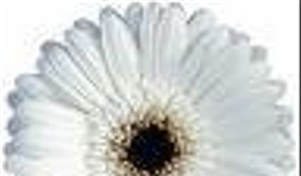 Dingman's Flowers
