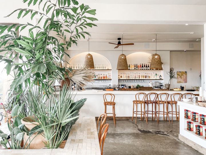 Fig Tree Venice