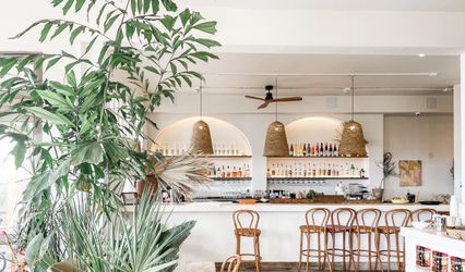 Fig Tree Venice