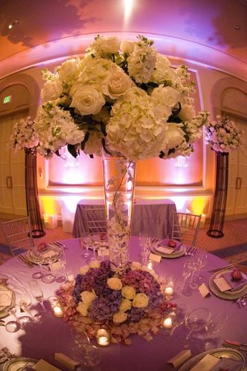 Branch Out Event Design