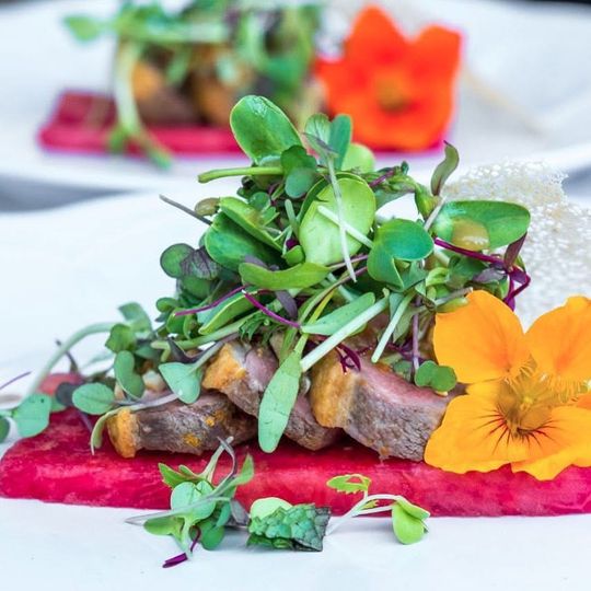 Perfect thyme