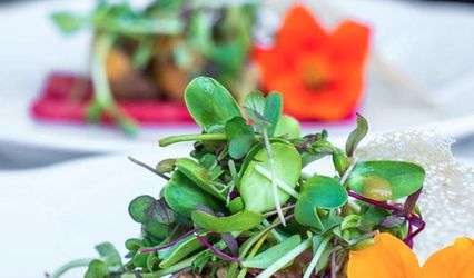 Perfect thyme