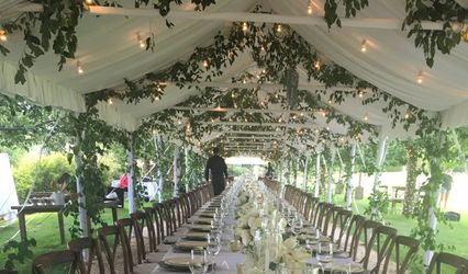 Eclectic Elegance Events