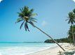 Leisure Travel