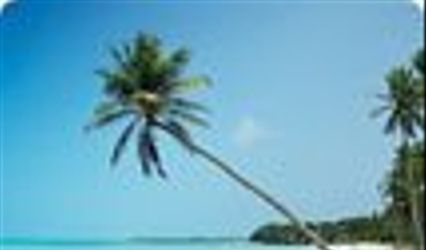 Leisure Travel