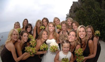 Cheri Bradshaw Photography