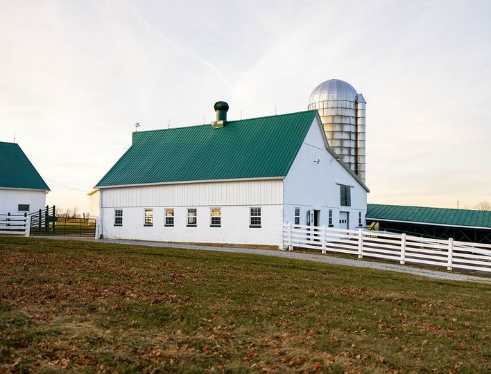 The Pasture