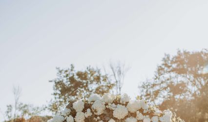 Sarah Gates Photography
