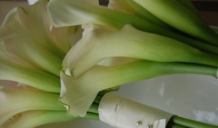 kitanim, a floral design and event company
