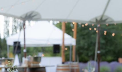 AuroAmore Events