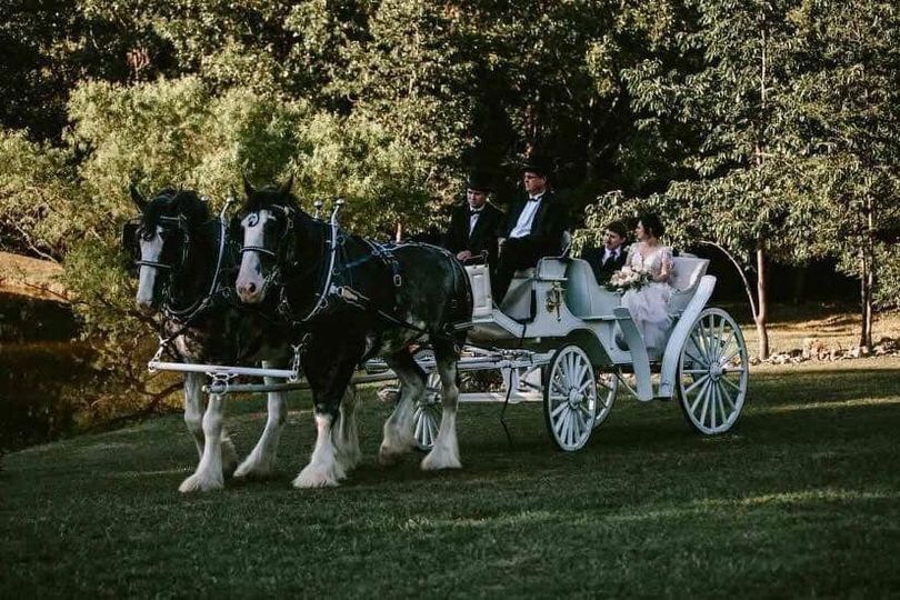 Shires for Hire Carriage Company