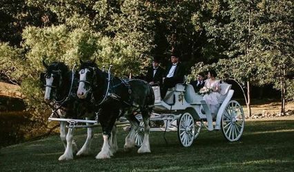 Shires for Hire Carriage Company
