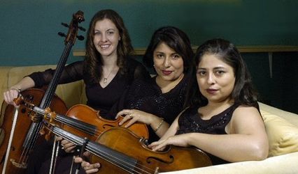 Amore String Trio