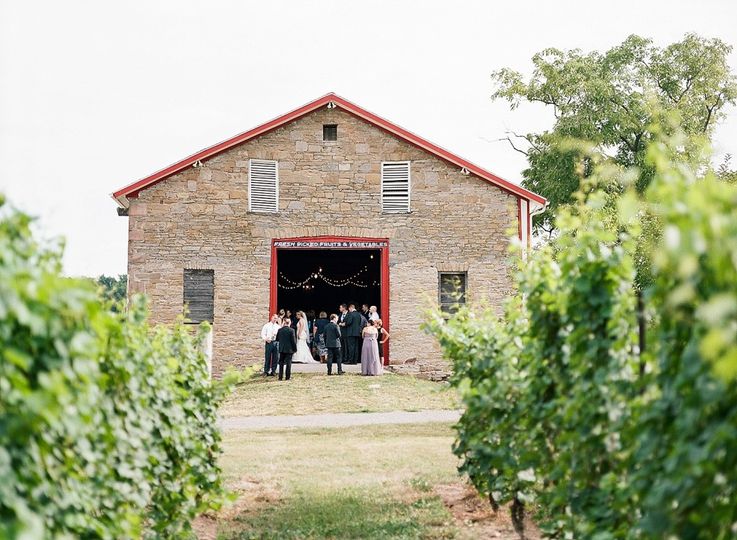 Freedom Run Winery