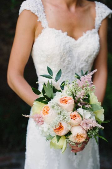 Sweet Magnolia Flowers