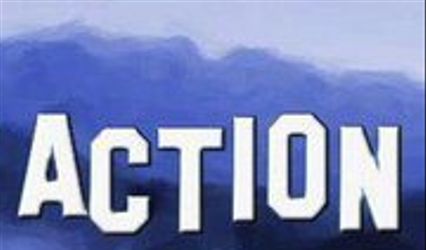 Action Multimedia LLC