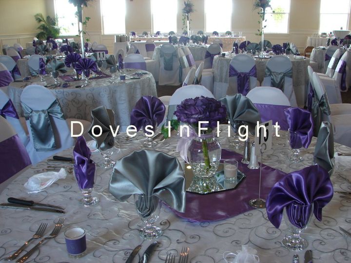 Doves in Flight Decorating / Chair Covers of Lansing