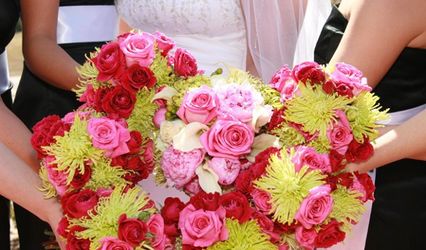 Bellissimo Events