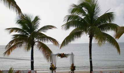 Antilles Lilies