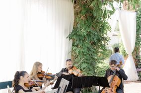 Organic String Quartet