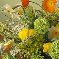 Freshly Cut Florist