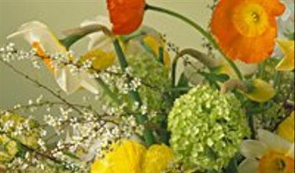 Freshly Cut Florist