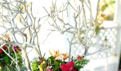 Miss Lily's Florals