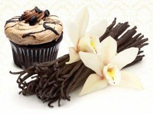 Vanilya Bakery