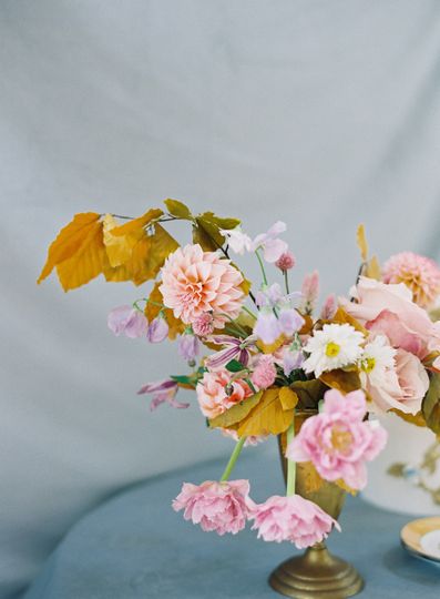Melissa Brewer Photography