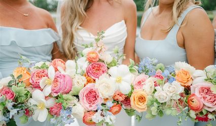 QUEEN ANNE BOUTIQUE LLC
