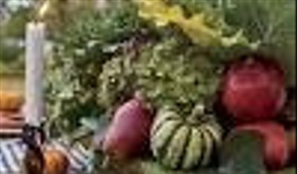 HARVEST CATERING, LLC