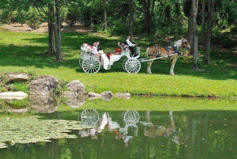 Pleasant Valley Dream Rides