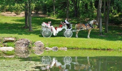 Pleasant Valley Dream Rides