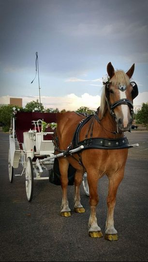 Occasional Carriages