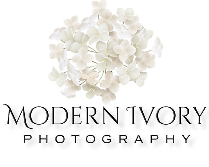 Modern Ivory Photography