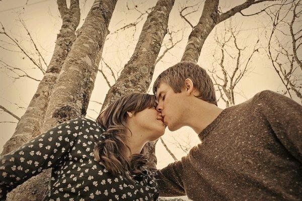 Orchard Photo