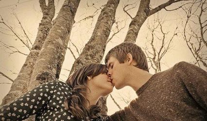 Orchard Photo