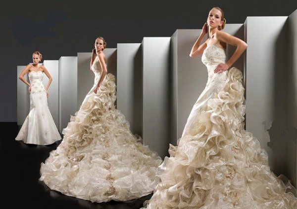 SHEER COUTURE