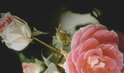 Victoria Rose Floral Design
