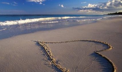Becki Toth, Destination Wedding Specialist