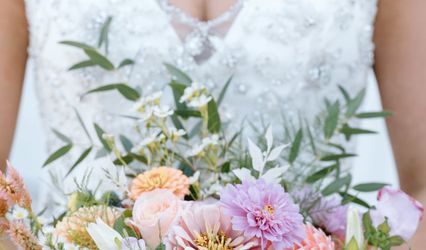 Terra Florals
