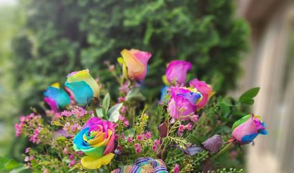Donna Flora
